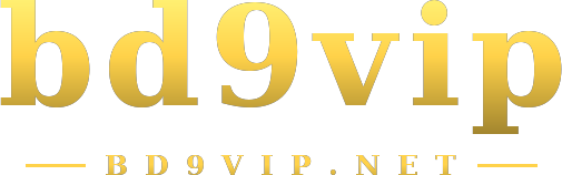 bd9vip logo